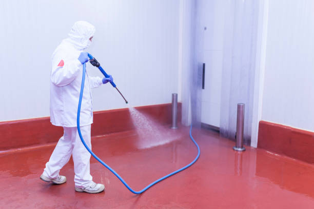 Best Paint Preparation  in Vermillion, SD
